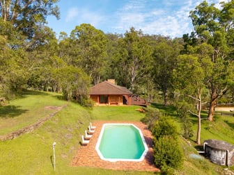 1451 Webbs Creek Road Webbs Creek NSW 2775 - Image 3