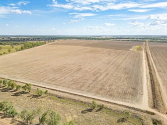 1389 Wambianna Road Gin Gin NSW 2823 - Image 1