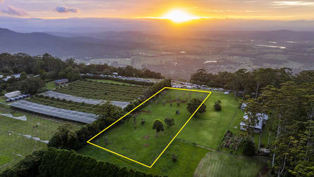 294-298 Main Western Road Tamborine Mountain QLD 4272 - Image 1