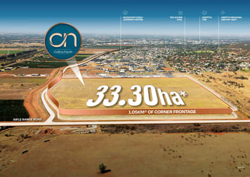 1683 & 2749 Citrus Road Griffith NSW 2680 - Image 3