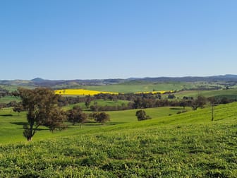 4781 Muttama Road Cootamundra NSW 2590 - Image 1
