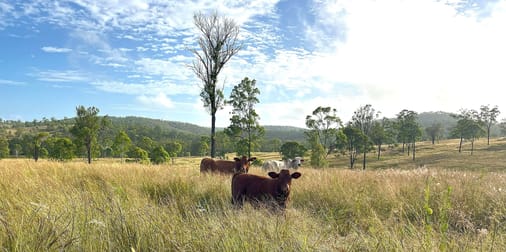 29 Runnymede Estate East Road Runnymede QLD 4615 - Image 1