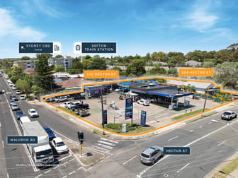 101 & 103 Hector Street Sefton NSW 2162 - Image 2