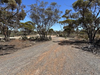 12 Atriplex Road Kambalda West WA 6442 - Image 2