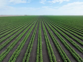 St Ruth QLD 4405 - Image 1