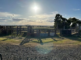 189 Toowoomba-Karara Road Finnie QLD 4350 - Image 2