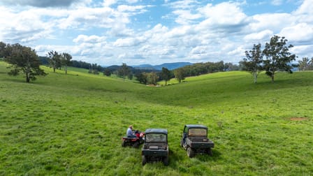 McPhee Beef Farms 2697 Kangaroo Flat Road Yarrowitch NSW 2354 - Image 1