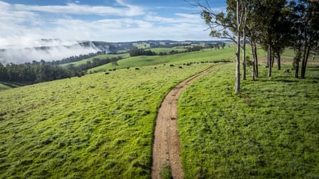McPhee Beef Farms 2697 Kangaroo Flat Road Yarrowitch NSW 2354 - Image 2