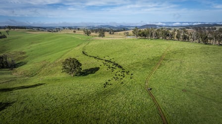 McPhee Beef Farms 2697 Kangaroo Flat Road Yarrowitch NSW 2354 - Image 3