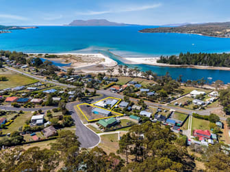 49 Tasman Highway & 1 Aubin Court Orford TAS 7190 - Image 1