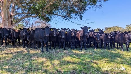 897 Brand Highway Muchea WA 6501 - Image 2