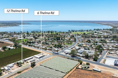6 Thelma Road Barmera SA 5345 - Image 2
