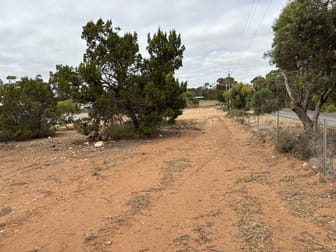 Lot 190 Thomas Street Murray Bridge SA 5253 - Image 3