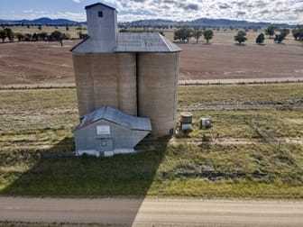 Lot 1 Glen Logan Siding Road (Old Railways Land) Cowra NSW 2794 - Image 2