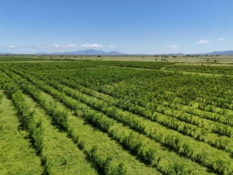 25712 Bruce Highway Gumlu QLD 4805 - Image 3