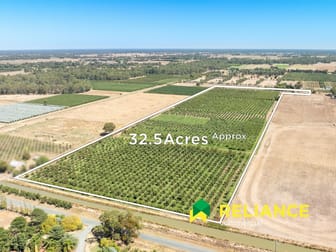 185 Prentice Road Orrvale VIC 3631 - Image 3