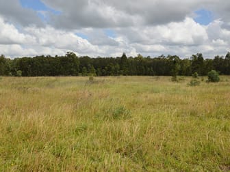 11 Rosedale Close Singleton NSW 2330 - Image 1