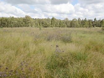 Click to view all images 11 Rosedale Close Singleton NSW 2330 - Image 2