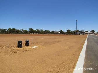 Lot 821 to Lot 842 York Street Dalwallinu WA 6609 - Image 1