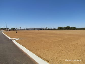 Lot 821 to Lot 842 York Street Dalwallinu WA 6609 - Image 2