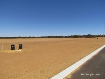 Lot 821 to Lot 842 York Street Dalwallinu WA 6609 - Image 3