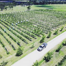 3184 Amiens Road The Summit QLD 4377 - Image 2