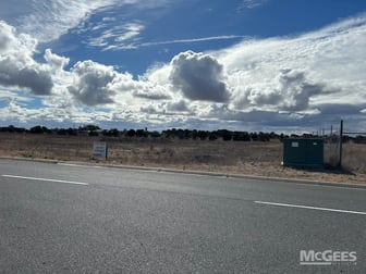 Allotments Big Olive Grove Tailem Bend SA 5260 - Image 1