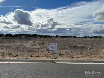Allotments Big Olive Grove Tailem Bend SA 5260 - Image 2