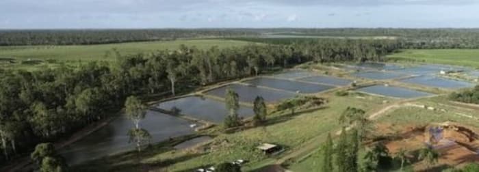 91 Hatchery Road Abington QLD 4660 - Image 3