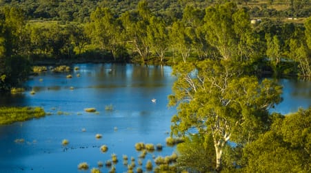 Elrose Station Landsborough Highway Mckinlay QLD 4823 - Image 3