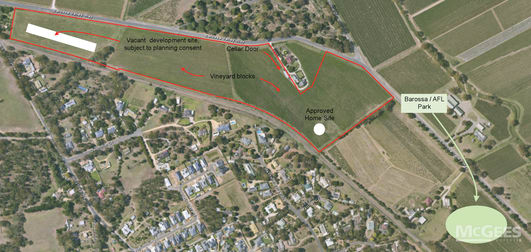 1234 Barossa Valley Way Lyndoch SA 5351 - Image 1