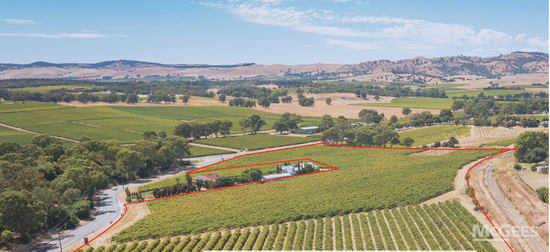 1234 Barossa Valley Way Lyndoch SA 5351 - Image 2