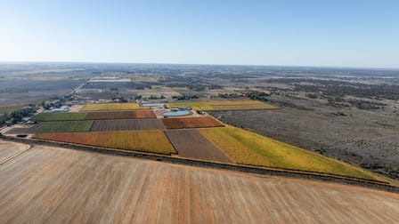 Click to view all images 3784 Walnut Avenue Koorlong VIC 3501 - Image 1