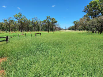 6743 Dunrobin Road Jericho QLD 4728 - Image 3