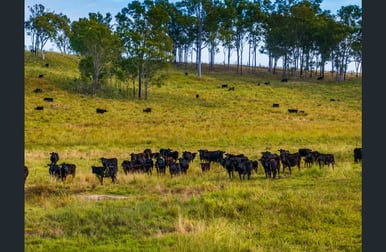 822 ROSEHILL ROAD Takilberan QLD 4671 - Image 2