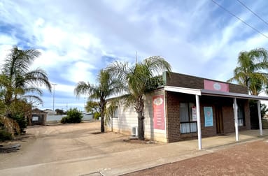 53 Ballantyne Street Wudinna SA 5652 - Image 1