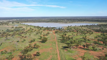 3124 Begonia Road St George QLD 4487 - Image 2