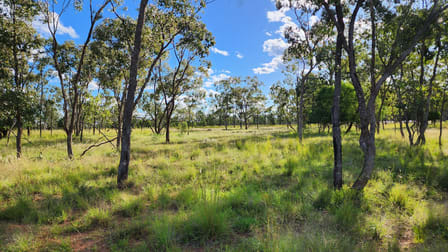 3124 Begonia Road St George QLD 4487 - Image 3