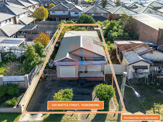 101 & 103 Wattle Street Punchbowl NSW 2196 - Image 2