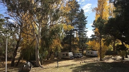 Cooma NSW 2630 - Image 2