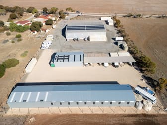 6772 St Vincent Hwy Edithburgh SA 5583 - Image 3