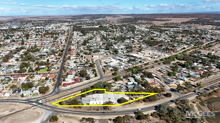 110A Mannum Road Murray Bridge SA 5253 - Image 1