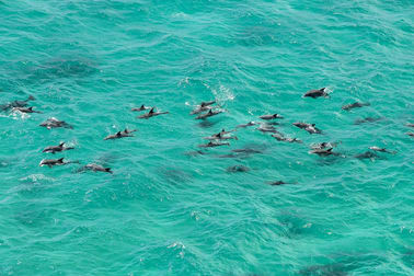 Byron Bay NSW 2481 - Image 3