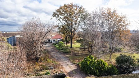 189 MYALL PARK ROAD Yenda NSW 2681 - Image 1