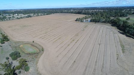 Warren NSW 2824 - Image 1