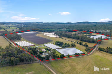46 Short Cut Road Lebrina TAS 7254 - Image 1