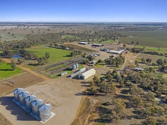Tuppal Station 2025 Tuppal Road Pine Lodge NSW 2714 - Image 1