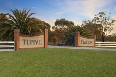 Tuppal Station 2025 Tuppal Road Pine Lodge NSW 2714 - Image 3