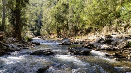 214 Eaglehawk Trail Yarrowitch NSW 2354 - Image 3