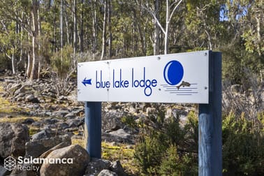 329 Arthurs Lake Rd Arthurs Lake TAS 7030 - Image 1